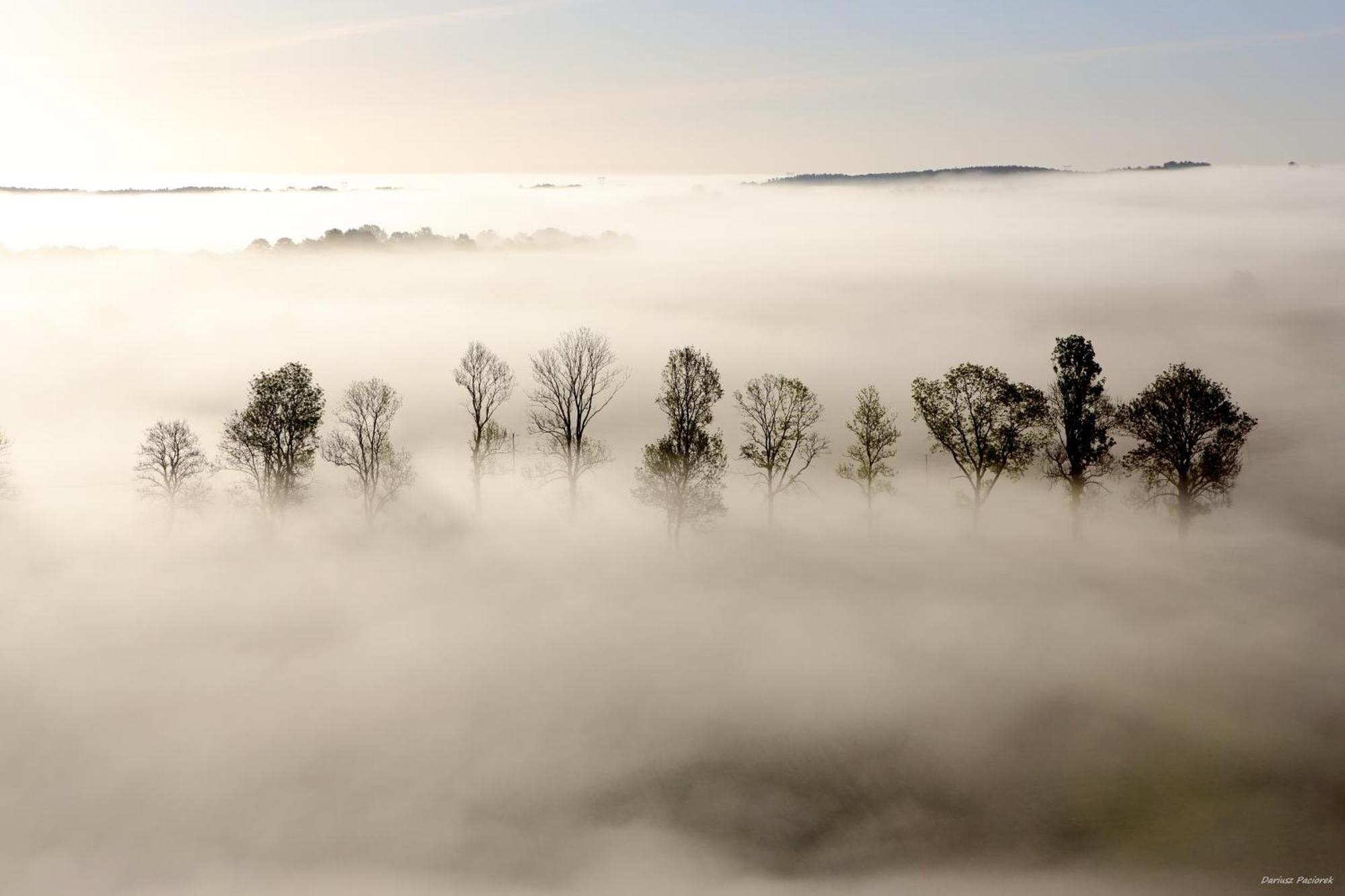Mila Przystan Villa Ksiaznik Buitenkant foto